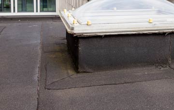 disadvantages of Great Elm flat roofs