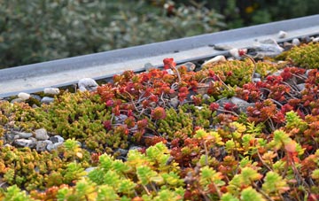 the cost of Great Elm green roof installation