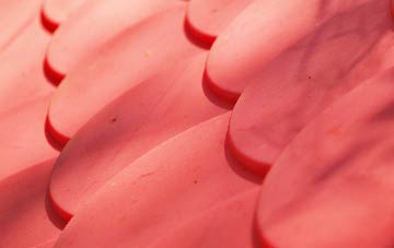 Great Elm plastic roof costs